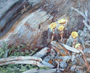 Coltsfoot on the Beach: Original oil painting by Catherine Orfald